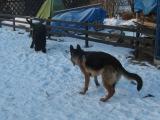 Hier klicken