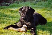 Bild3