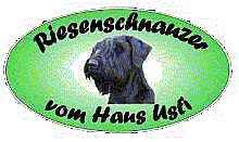 vom Haus Usti