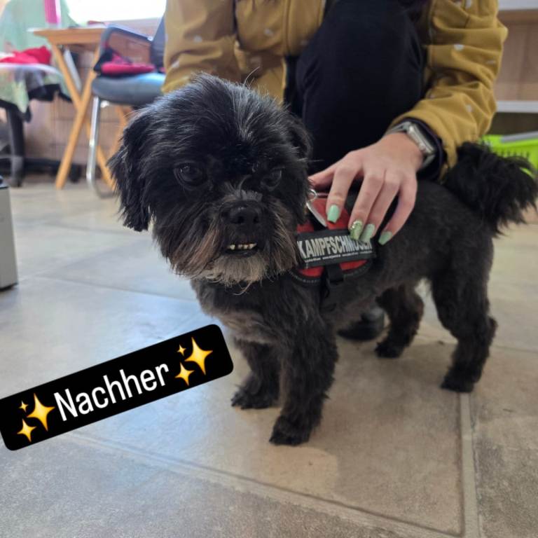 nachher