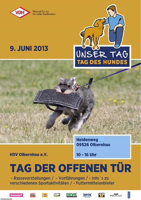 Tag des Hundes